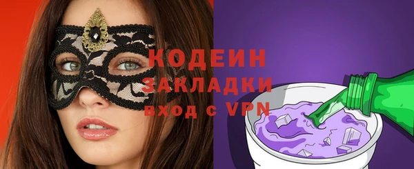 шишки Краснослободск