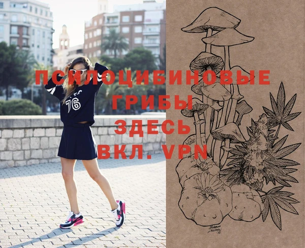 шишки Краснослободск