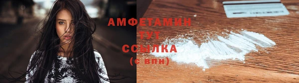 шишки Краснослободск