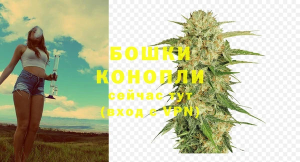шишки Краснослободск