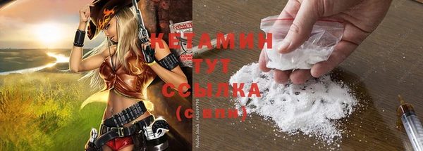 шишки Краснослободск
