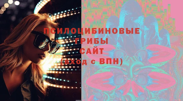 шишки Краснослободск