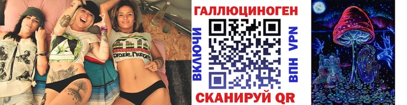 Псилоцибиновые грибы GOLDEN TEACHER Купить где Карачаевск